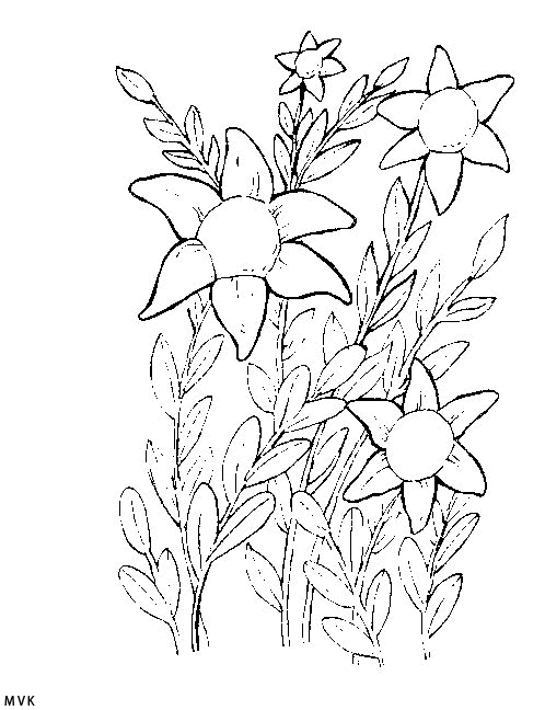 flower013