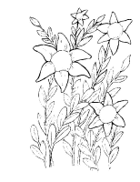 A coloring page of flower