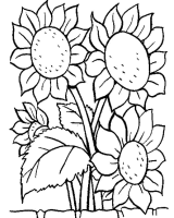 A coloring page of flower