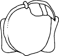 A coloring page of food
