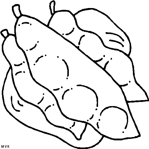 food48