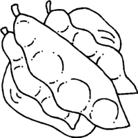 A coloring page of food