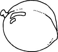 A coloring page of food