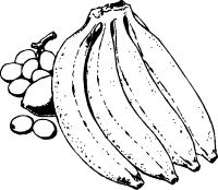 A coloring page of fruit