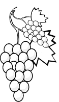 A coloring page of fruit
