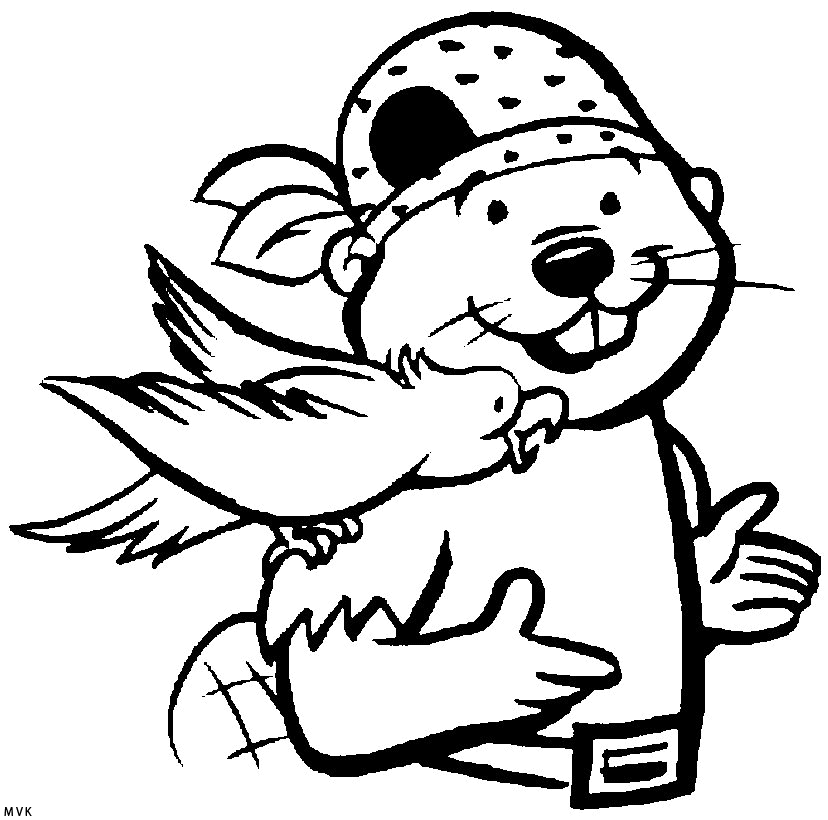 beavers005
