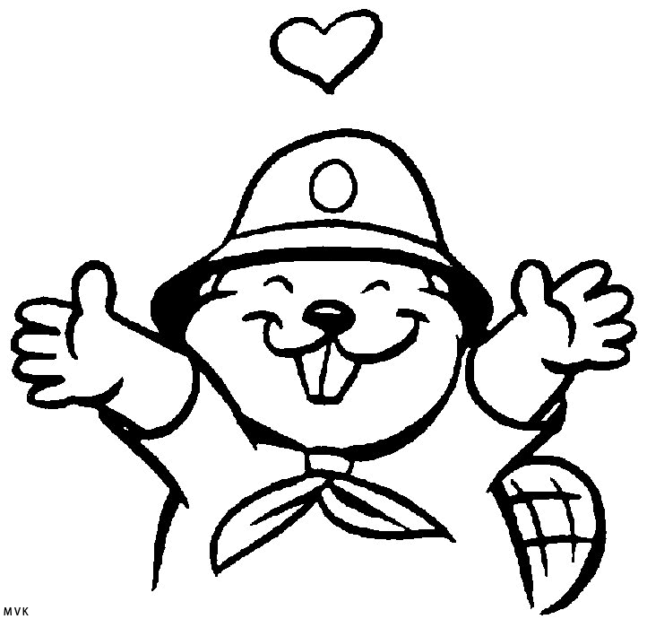 beavers016