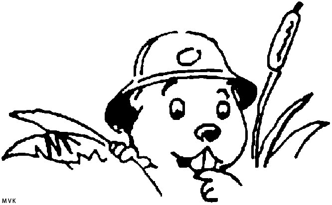 beavers020