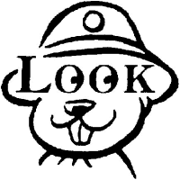 A coloring page of beavers