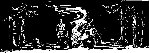 campfire007