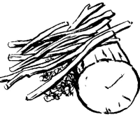 A coloring page of campfire