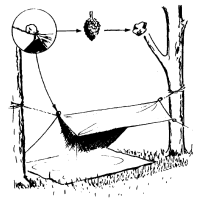 A coloring page of camping