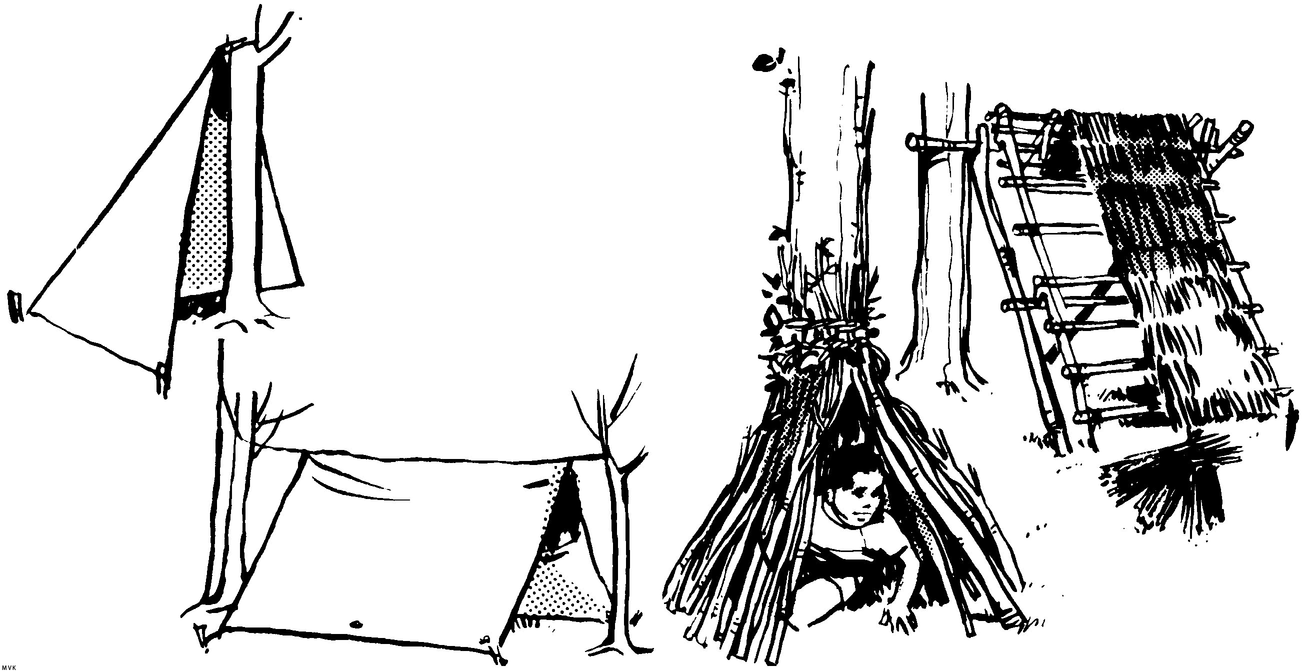 camping105