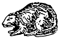 A coloring page of nature