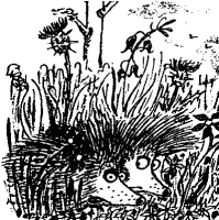A coloring page of nature