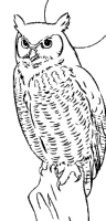 A coloring page of nature
