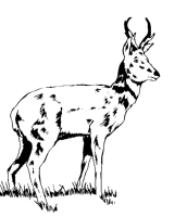 A coloring page of nature