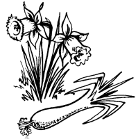 A coloring page of nature