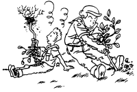 A coloring page of nature