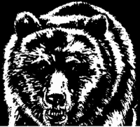 A coloring page of nature