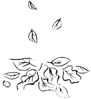 A coloring page of nature