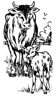 A coloring page of nature