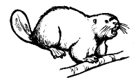 A coloring page of nature