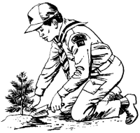 A coloring page of nature