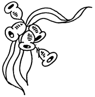 A coloring page of nature