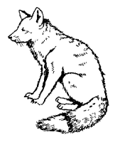 A coloring page of nature