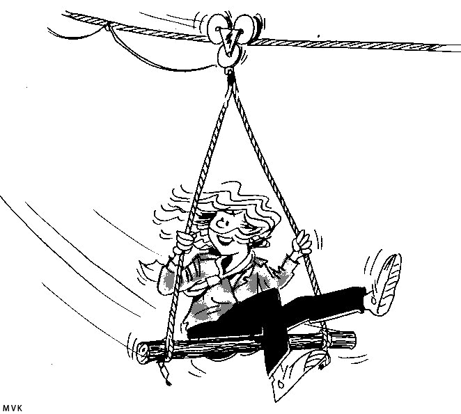 pioneering011