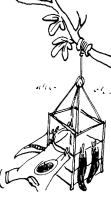 A coloring page of pioneering