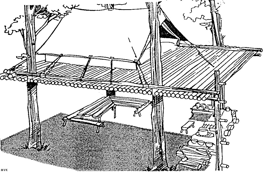 pioneering015