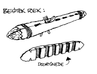 A coloring page of pioneering