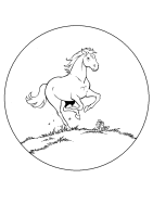 A coloring page of amika