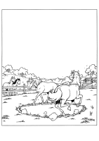 A coloring page of amika