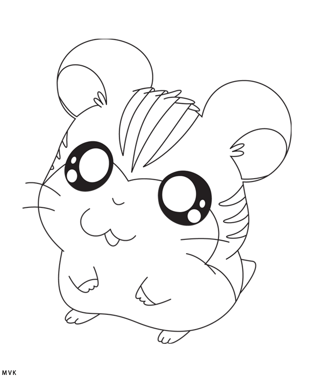 hamtaro005
