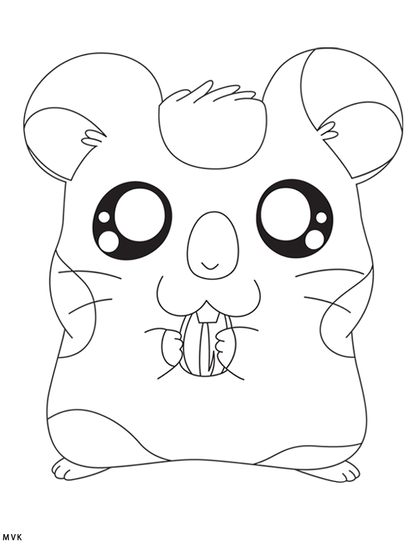 hamtaro015