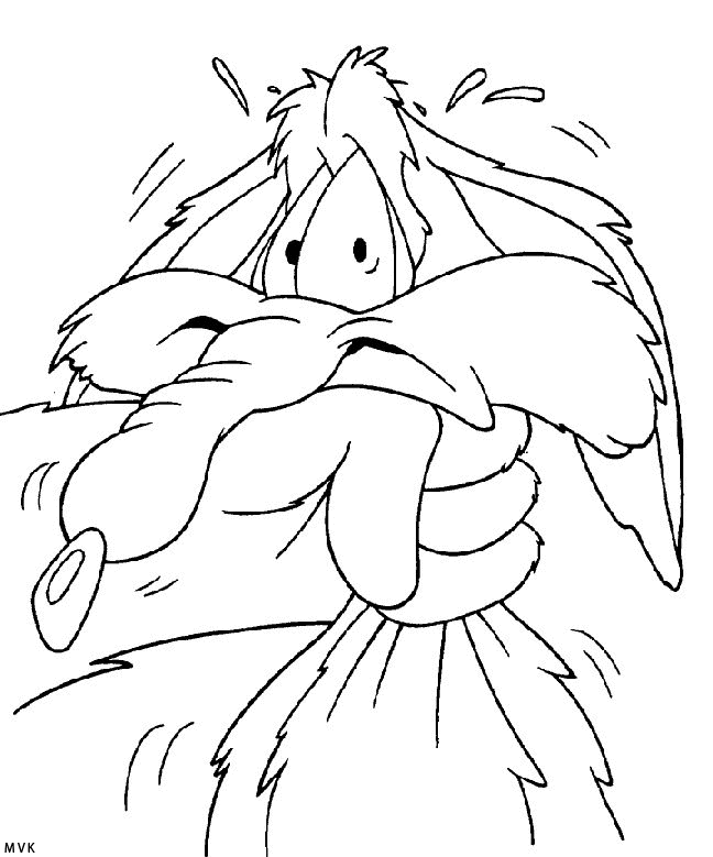 roadrunner009