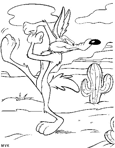 roadrunner010
