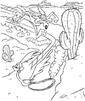 A coloring page of roadrunner