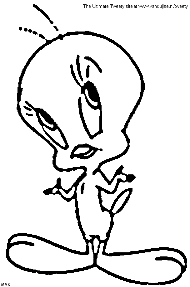 tweety002