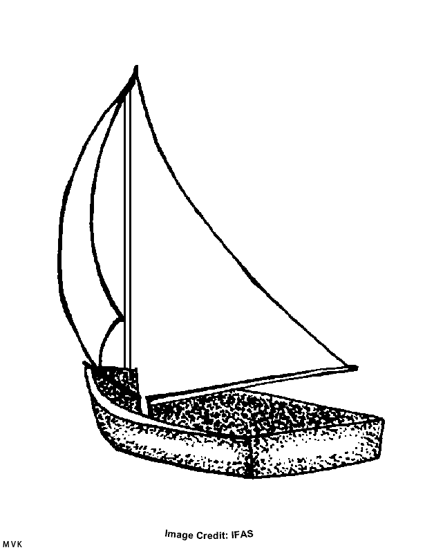 boat008