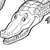 crocodile