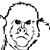 monkey
