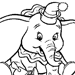 dumbo